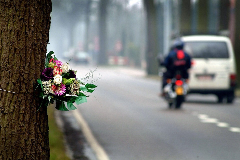 Themabeeld