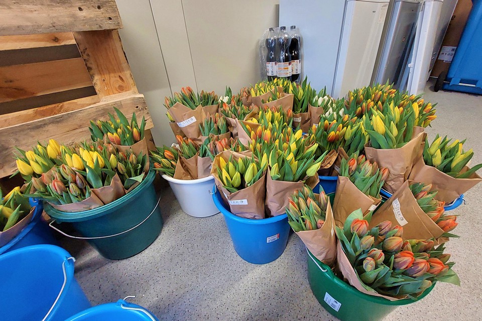 Via de Mechelse bloemen- en plantenzaak De Stek kon voor iedere vrouw in het nooddorp een boektje bloemen gekocht worden.