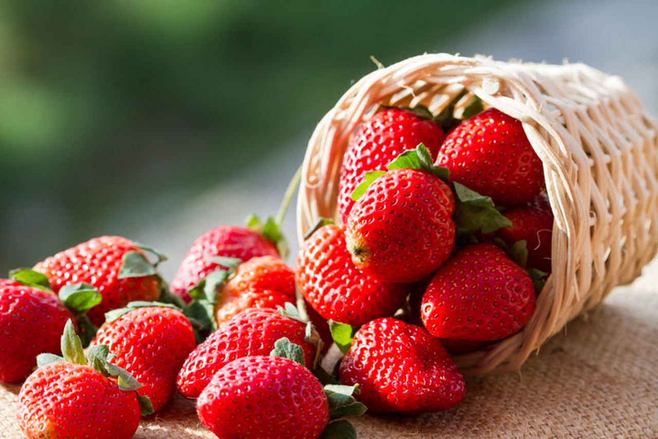 historisch waarheid interferentie Wat je moet weten om de lekkerste aardbeien te eten | Het Nieuwsblad Mobile