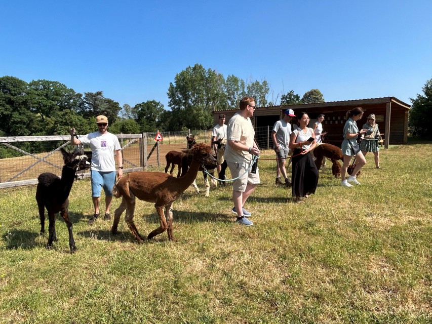 Boem Agency komt in het kader van een teambuilding langs.