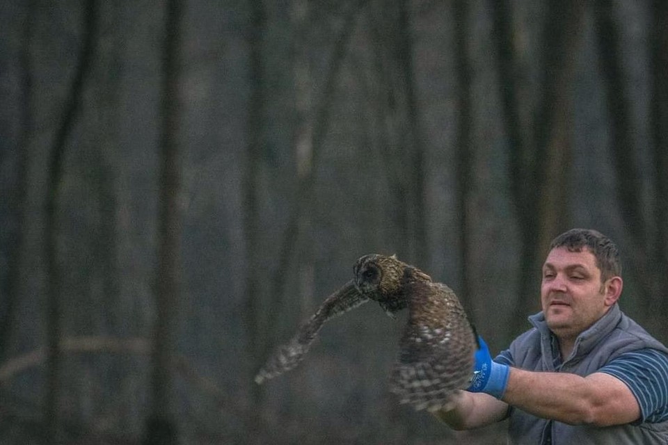 Ondanks alle dierenleed lopen nogal wat verhalen goed af en kunnen dieren na hun herstel weer uitgezet worden.