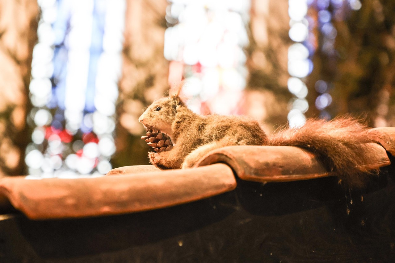 Kerststal Pronkt Opnieuw In Kerk Van Achterbroek Voor De Ste Keer Gebouwd En Nooit Dezelfde