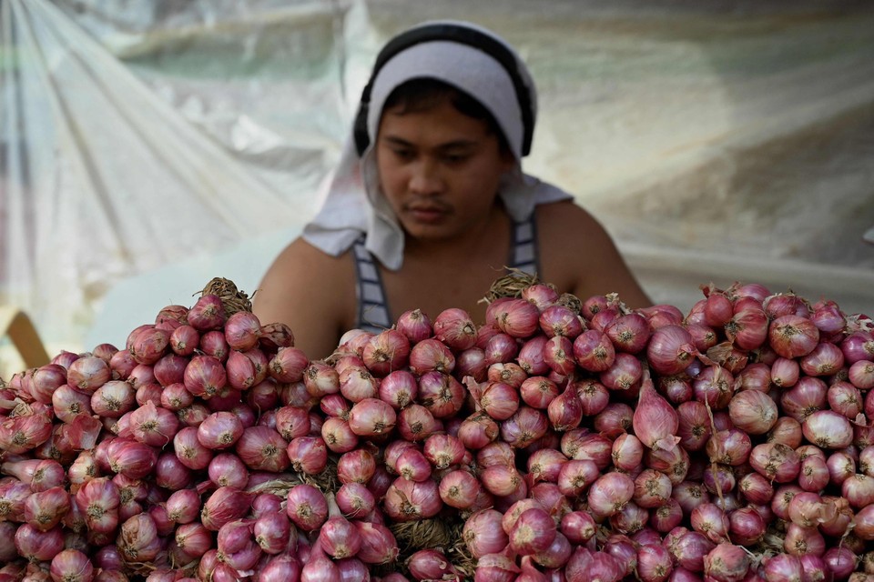 Zowel witte als rode ajuinen werden maandag verkocht voor 600 Filipijnse peso (ruim 10 euro) per kilo.  