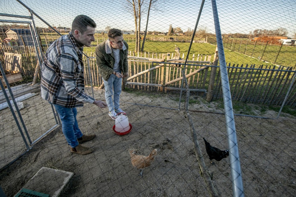 In hun nieuwe huis willen de ‘Blind Gekocht’-deelnemers hun grote droom waarmaken.