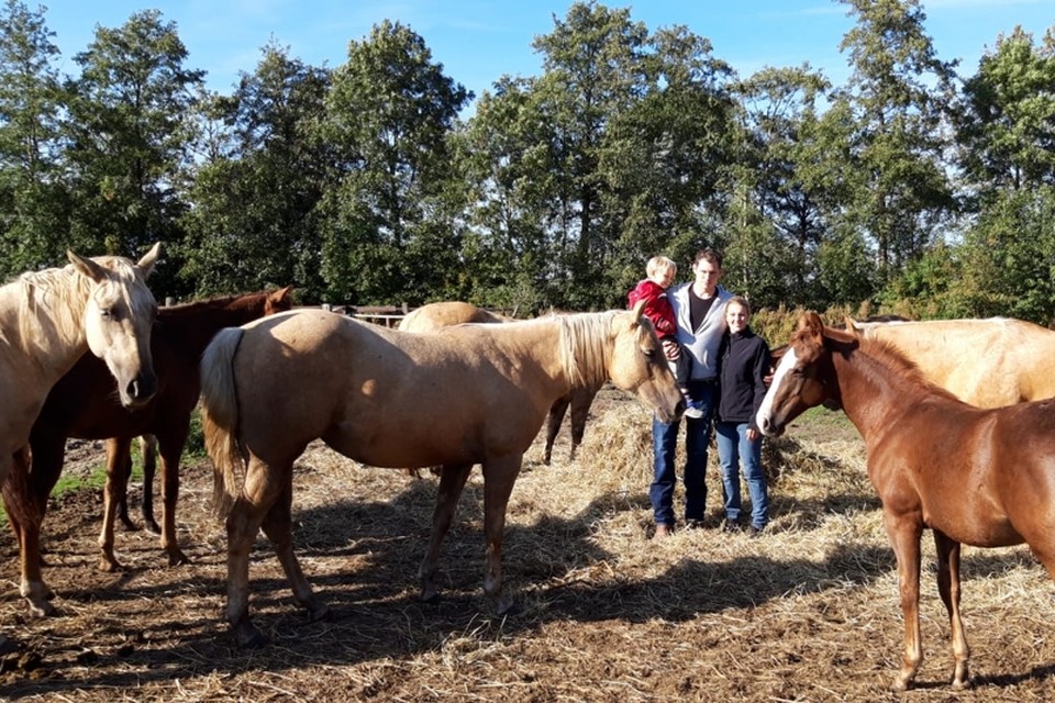 Wegrijden Hassy Opmerkelijk Koppel blijft achter met schuldenberg en 39 paarden nadat boerderij voor  hun neus werd weggekaapt | Het Nieuwsblad Mobile