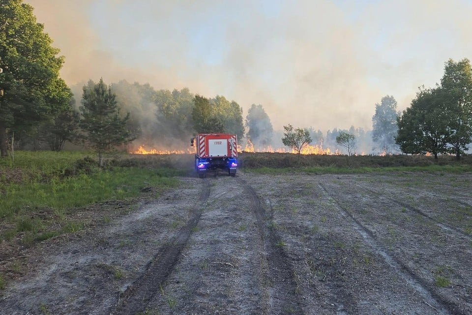 Heavy heathland on Mechelense Heide in As and Maasmechelen: Gigantic plume of smoke from far (inland)
