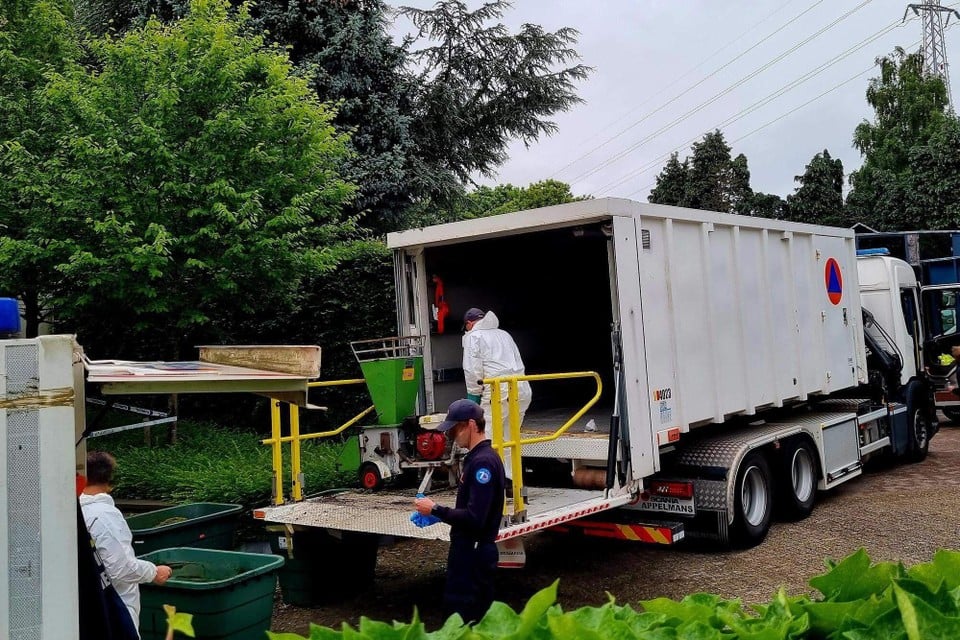 Police happen to discover cannabis plantation: local residents had sounded the alarm because they heard someone scream (inland)