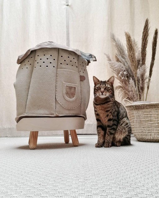 kunstmest Advertentie Laster Een kat in de zak: studente uit Zoersel ontwerpt comfortabele tas om poes  te vervoeren | Het Nieuwsblad Mobile