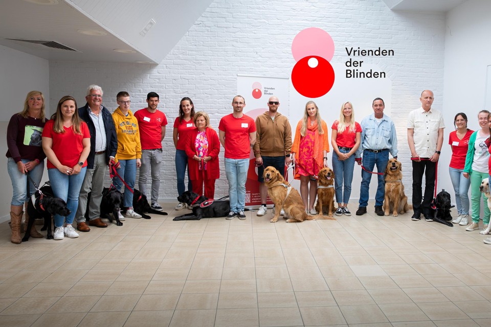 In Oostdinkerke, fifteen guide dogs for the blind received their diplomas during a solemn proclamation.