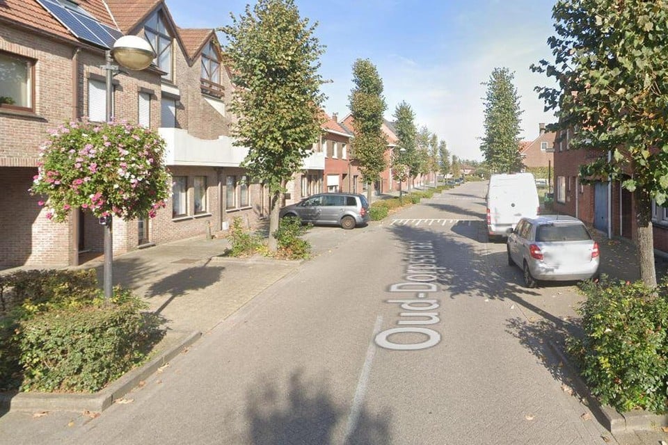 Three injured in stabbing in Loenhout, man (29) arrested (Wuustwezel)