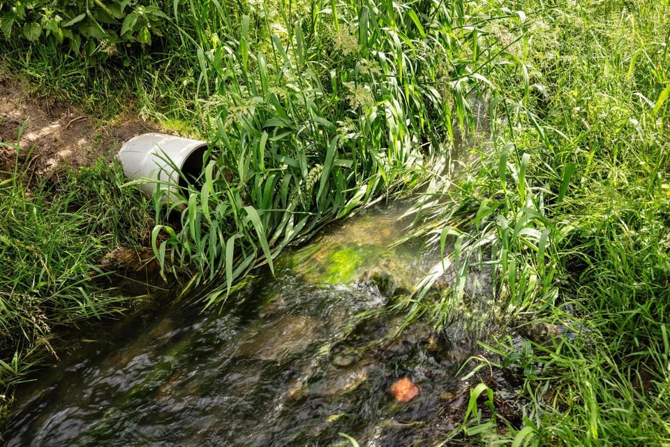 202505, Copyright Kristof Vadino, Water pollution, River, Molenbeek River, Sint-Genesius Rode to Beersel, discharge Waste water, Polluted Water