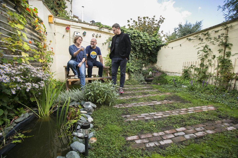 Stoutmoedig Geduld Azië Antwerpenaars ontharden 3.740 vierkante meter tuin: “Als iedereen kleine  inspanning levert, bouwen we klimaatrobuuste stad” (Antwerpen) | Het  Nieuwsblad Mobile