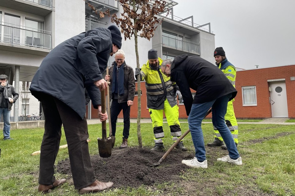 De burgemeester en de eerste schepen plantten dinsdag mee een nieuwe ‘toekomstboom’ op een kaal graspleintje. 