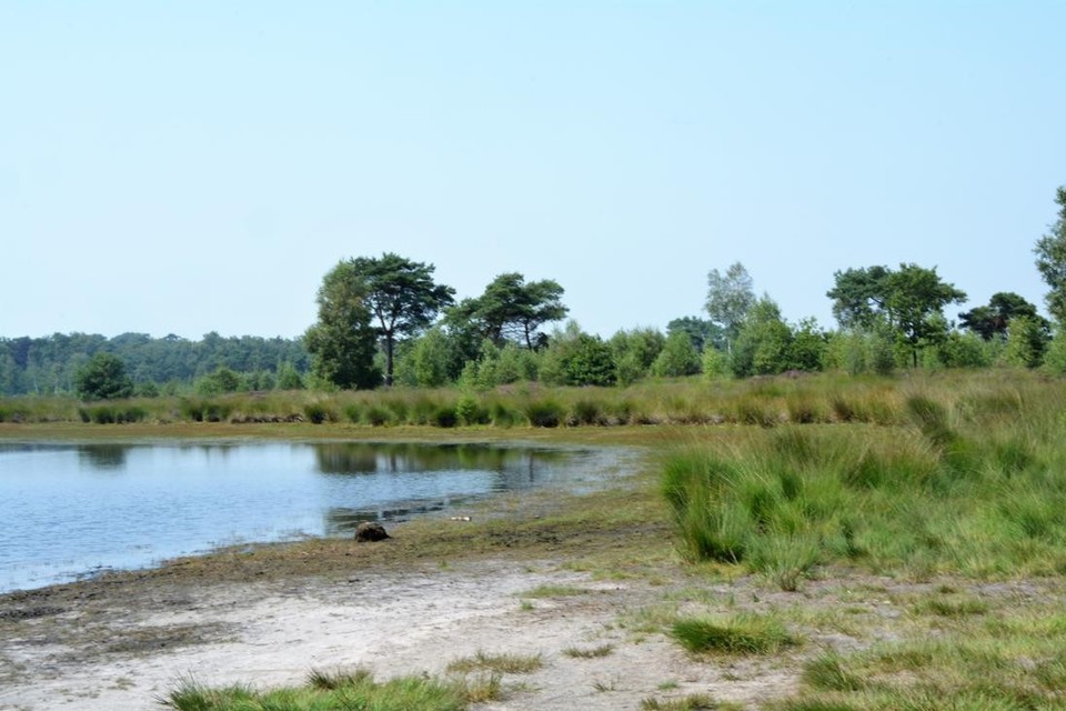 Kalmthoutse Heide stap dichter bij Nationaal Park.