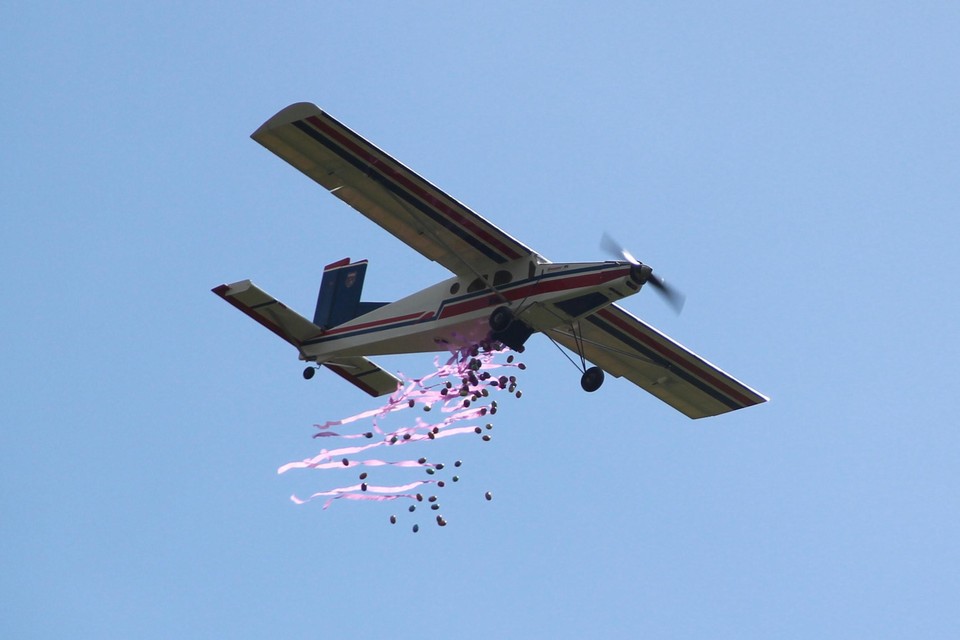 Grap Assortiment Langwerpig Modelvliegtuigen lossen 30 kilo paaseieren vanop 50 meter hoogte | Het  Nieuwsblad Mobile