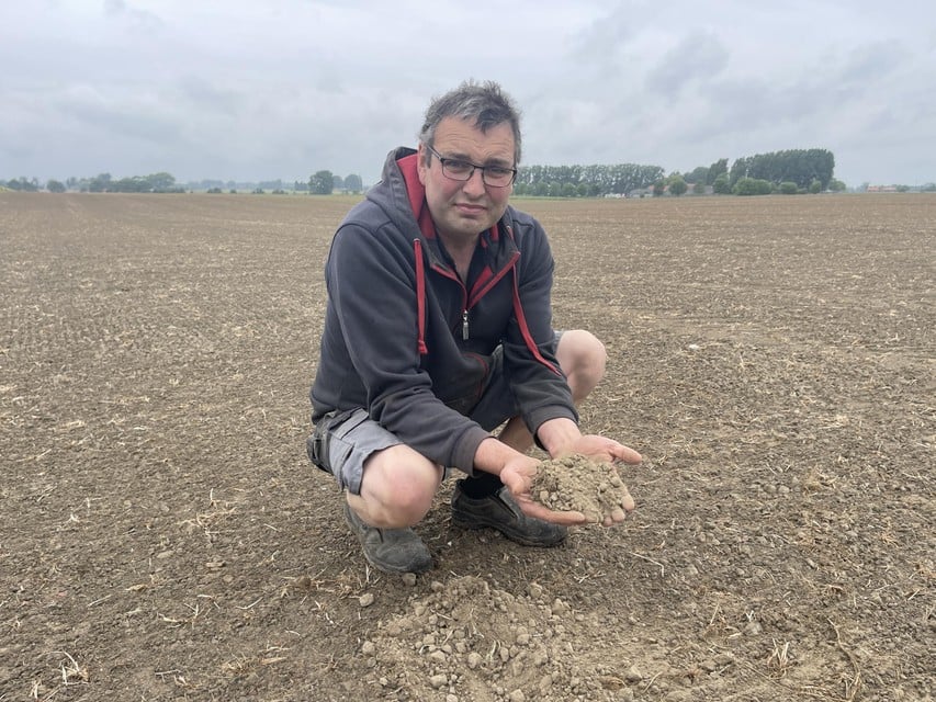 Karel shows the dry surface on his wet corn field in Vleteren.