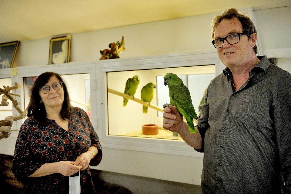 Katrien De Pelsemaeker en Jan Van Slycke zorgden jarenlang met hart en ziel voor hun vogels. 