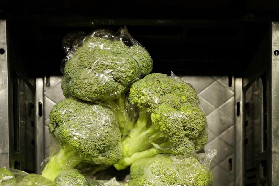 recept Muildier ik ben verdwaald Frankrijk bant plastic verpakkingen voor groenten en fruit | Het Nieuwsblad  Mobile