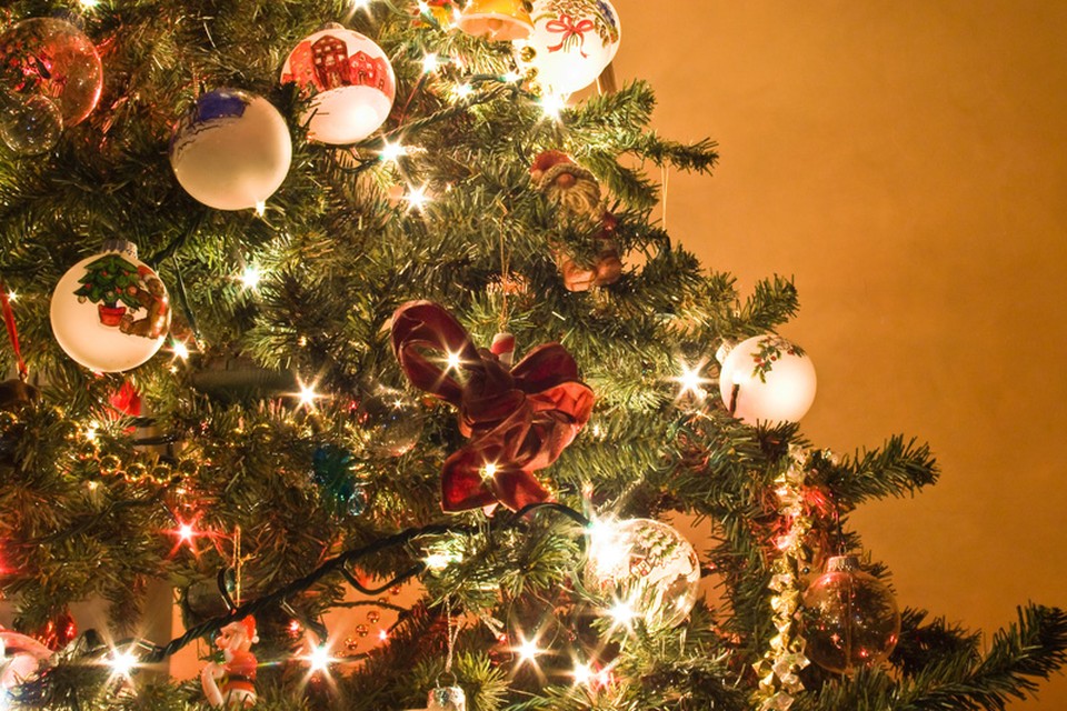 Tips een goede kerstboom te Het Nieuwsblad Mobile