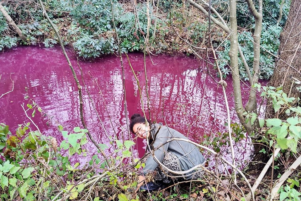 Ingenieur en doctoraalstudente van de UA Naïm Blansaer neemt stalen van het mysterieuze paarse water van Schoten. 