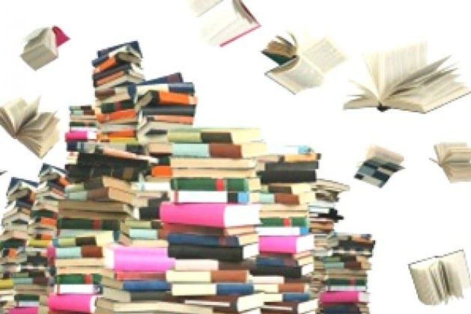 Boekenverkoop in de Bib.