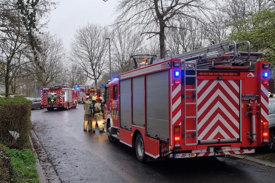 Zaterdagavond brak brand uit in Ten Hove in de wijk Windmoleke. 22 bewoners moesten geëvacueerd worden.