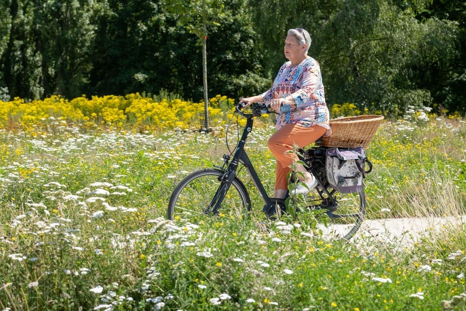 Stadsgids en Deurnenaar Lieve Mariën neemt ons mee op haar gegidste fietstocht door het district. Foto: Joris Herregods.