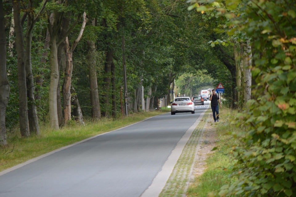 De betonnen grasdallen in de Lange Dreef. Deze wandelaar stapt er ook naast, en niet over.