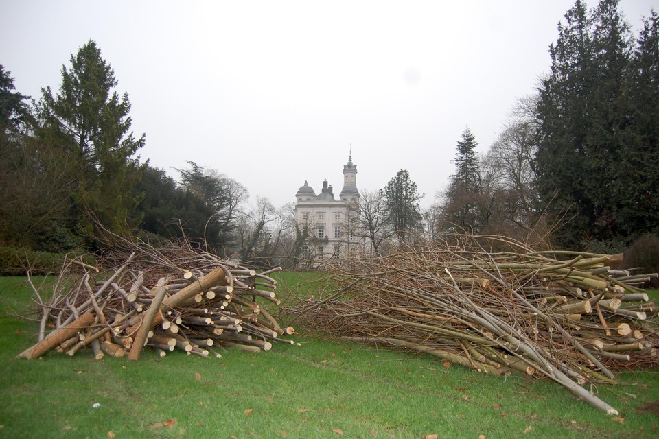 Aan Hof Ter Saksen werden enkele bomen gekapt.