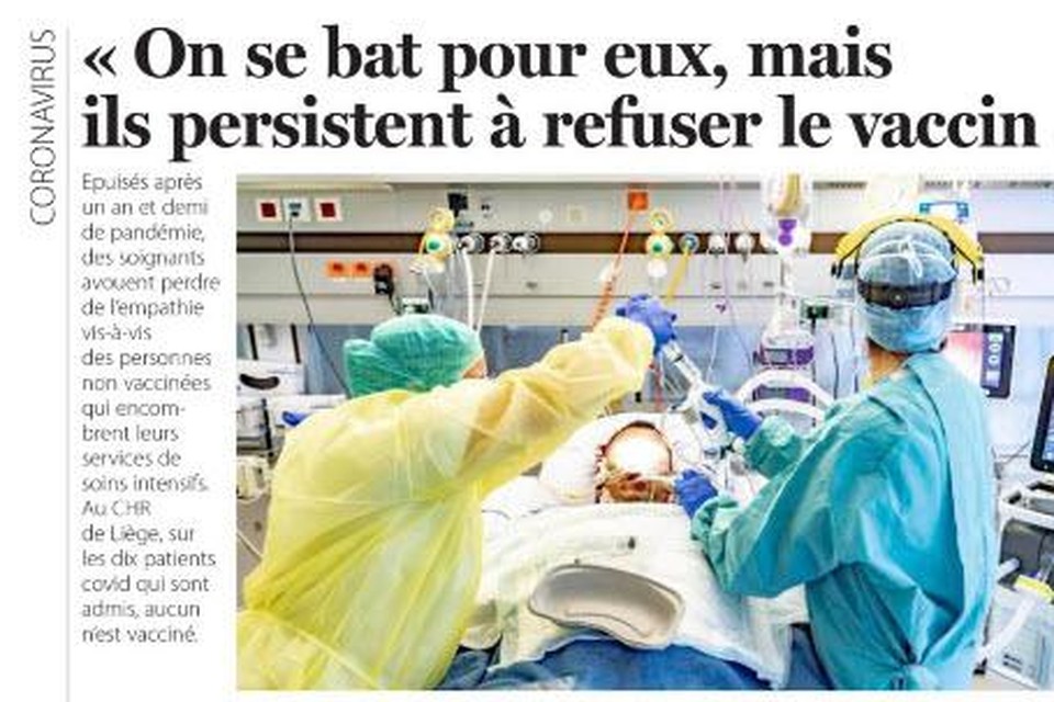 Het bewuste artikel