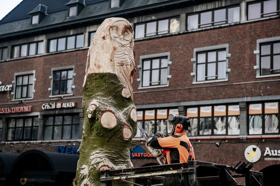 Carving Cis in actie in Hasselt. 