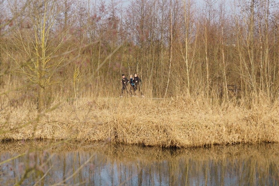 Een lus van 2.275 meter loopt rond het water door het Ter Durmenpark in Wondelgem en is grotendeels onverhard. 