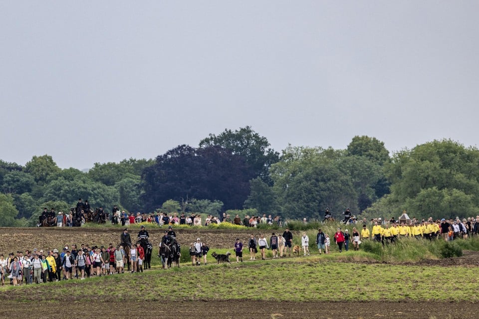 Two children and adults slightly injured after horse runs wild during pilgrimage around Ronse (interior)