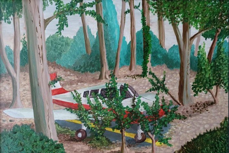 Inzender Kris (54) ziet nog wel plek voor een vliegtuig in het bos dat op de ruimte van de luchthaven moet komen. 