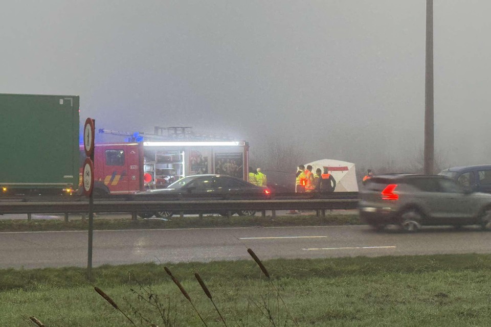 Man komt om het leven langs A12: slachtoffer werd plots onwel (Willebroek)