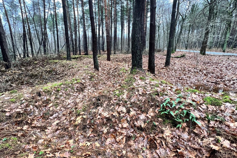 De kronkels van de loopgraven kan je zien in het bosje tussen de Sluisstraat en de Bilzerweg in Zutendaal.