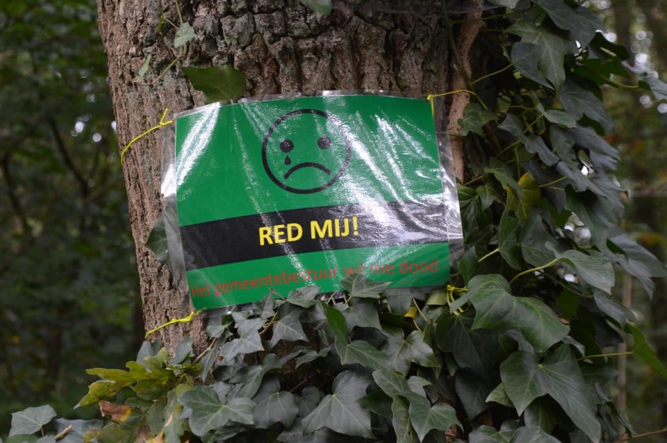 De bordjes aan de bedreigde bomen.