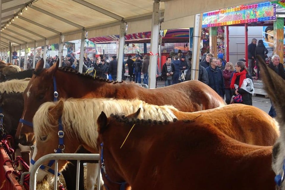 Houtem Jaarmarkt is elk jaar een groot volksfeest. Behalve dit jaar. 
