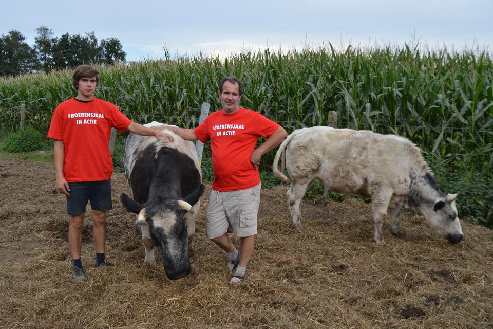 Landbouwers Chesney (19) en Christof De Cabooter (47) emigreren naar Frankrijk om aan het stikstofakkoord te ontkomen.