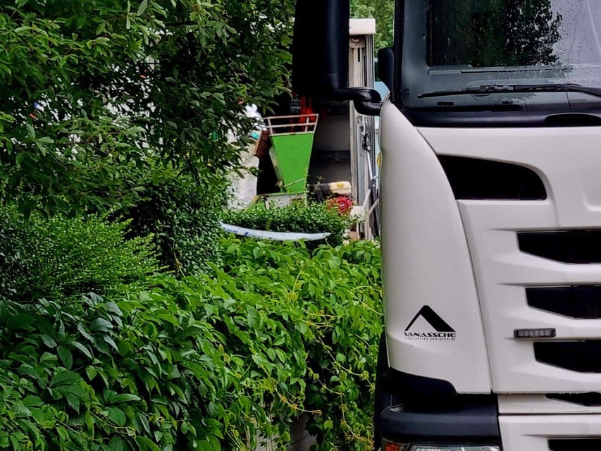 The civil protection had a big job to remove and hide all the plants.