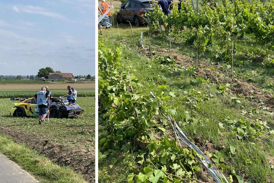 Edward (31) measures damage after Rallywagen drives in his vineyard: « The blow must have been huge » (Zonnebeke)