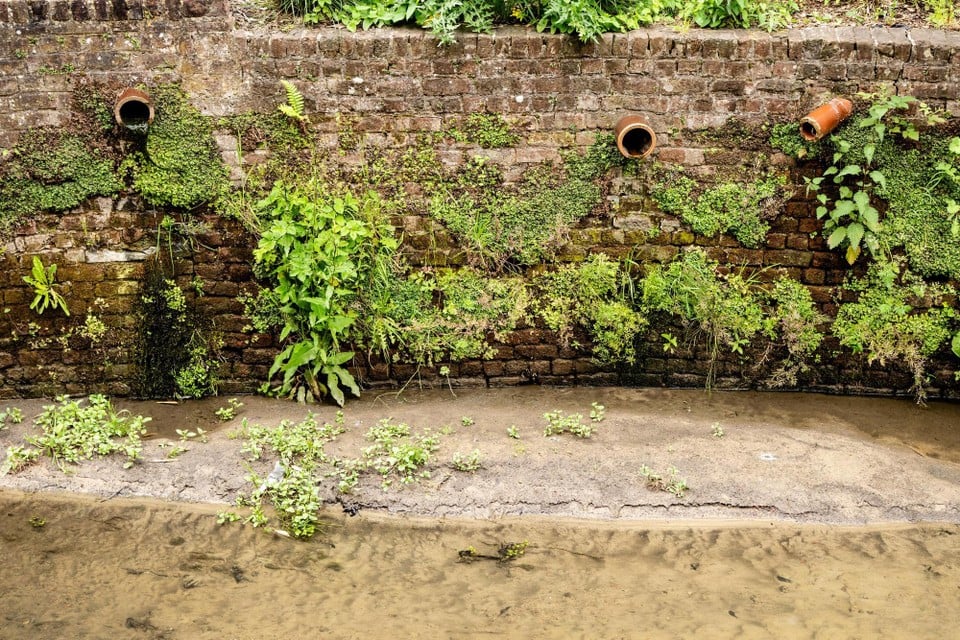 202505, Copyright Kristof Vadino, Water pollution, River, Molenbeek River, Sint-Genesius Rode to Beersel, discharge Waste water, Polluted Water