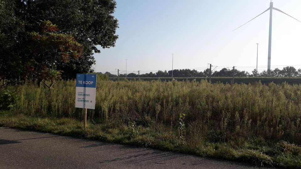 Van de tuintjes is geen spoor meer, er staat enkel hoog gras.
