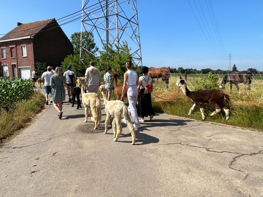 De wandeling verloopt vlekkeloos.