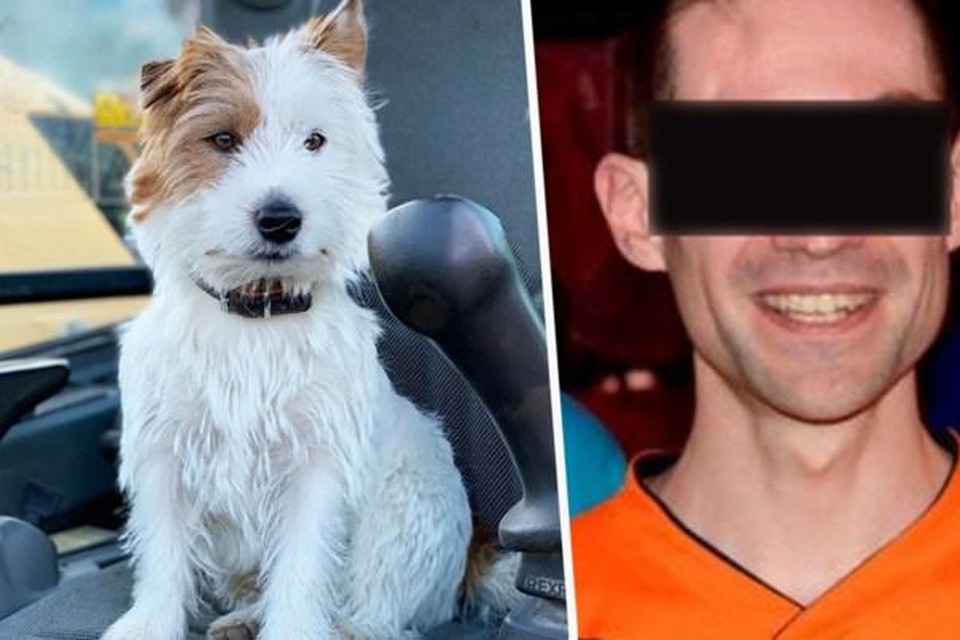 De jogger die hondje Dribbel doodde, kreeg doodsbedreigingen en heeft zelfs politiebescherming nodig. 