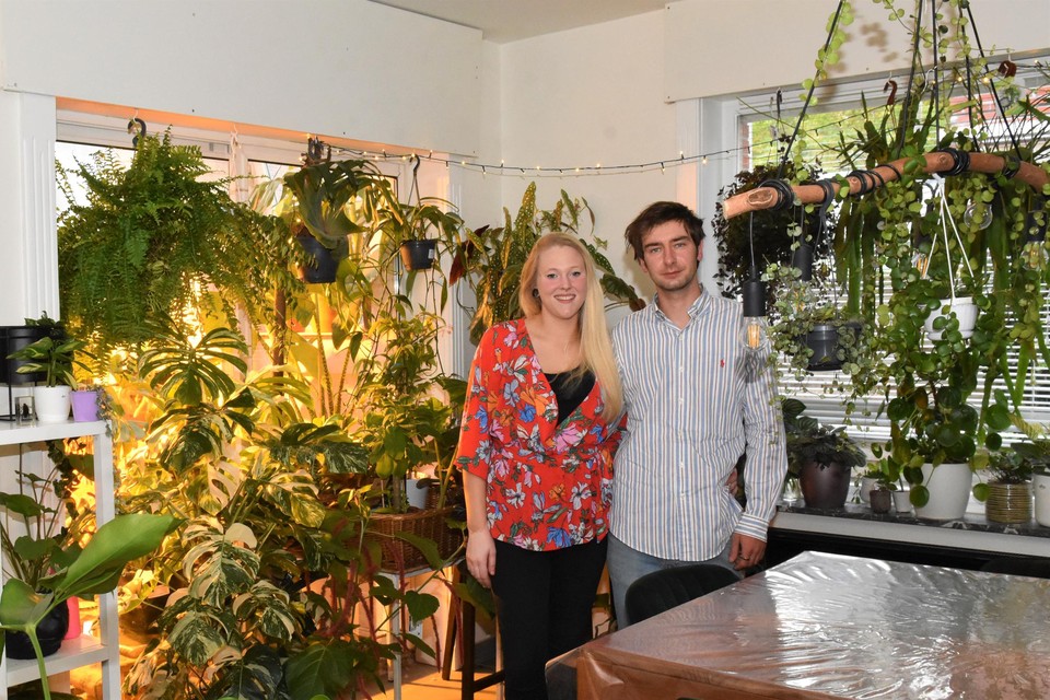 Jasje aankomst Iets Postbode en kok starten online plantenshop: “Planten onderhouden is super  ontspannend” (Harelbeke) | Het Nieuwsblad Mobile