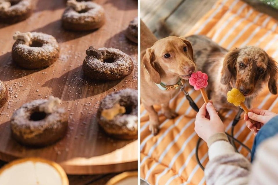 Dognuts, Pawgaritas and Woofins: your dog is also welcome on this brunch, and he even gets his own buffet (Ghent)