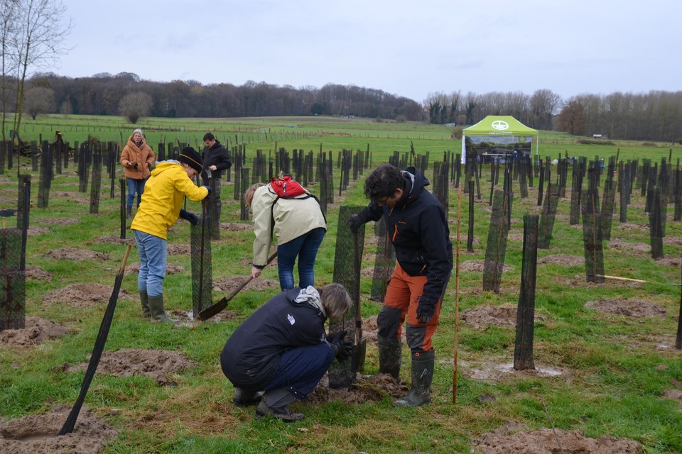 Natuurpunt en de Stichting Yves Rocher hebben vrijdag een nieuw bos aangeplant op de grens van Asse en Ternat. 