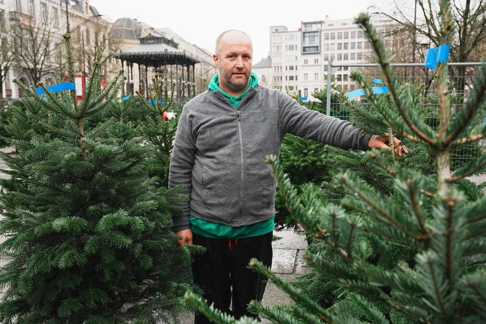 Bart Moerman verkoopt 500 kerstbomen op de Kouter.  