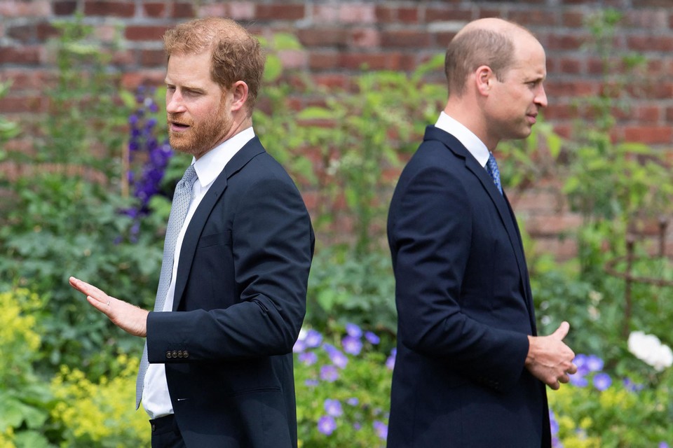Prinsen Harry en William afstandelijk tijdens de onthulling van het standbeeld van hun moeder, prinses Diana, op 1 juli.